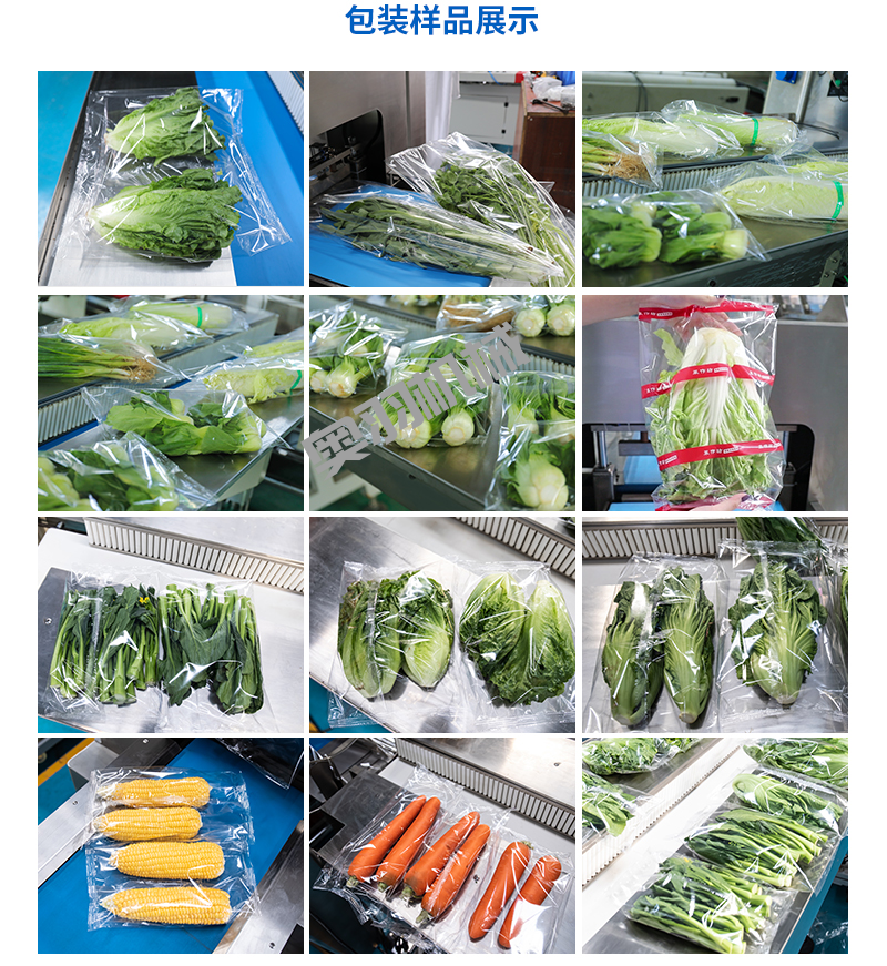 速凍蔬菜前景可期 速凍工藝打造品質(zhì)高地_http://m.latina-restaurant.com_新聞資訊_第2張